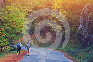 Rear view of young couple walking on road through woods with backpacks. Man and woman hiking in forest. Active adventure