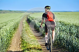 Rear view of the young cyclist riding bicycle on the road of the field.