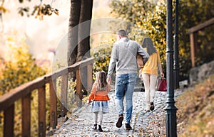 A rear view of young family with children walking in park in autumn.