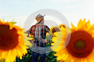 Rear view of an young farmer in a hat standing on the sunflower field.