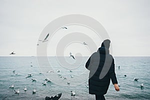 Rear view of young hipster woman feeding seagulls