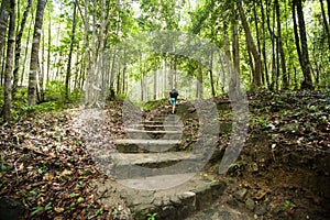 Rear view of young male hiking in forest, Koh Pha Ngan, Thailand