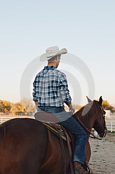 Rear view of a young male in white hat on the beautiful brown horse in a fenced area in the field