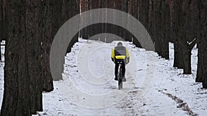 Rear View of Young Man Riding Bicycle on Snowy Path Between Trees in Slow Motion