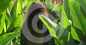 Rear View of a young woman with long hair walking through tropical banana leaves