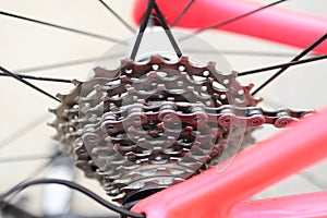 Rear wheel cassette of bicycle at close up view - Bicycle parts