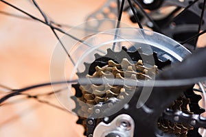 Rear wheel and chain in a mountain bike - The back disc brake bike , bicycle gears