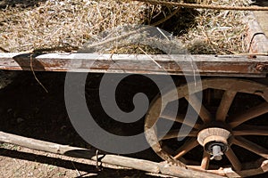 Rear wheel of an old cart with hay close-up