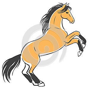 Reared horse. Vector hand drawn illustration