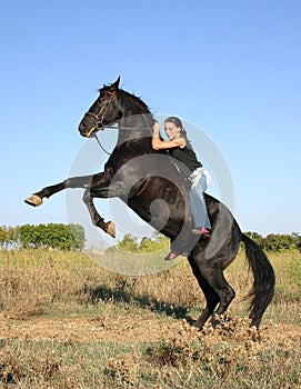 Rearing black horse