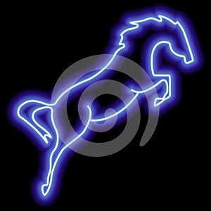 A rearing horse. Simple outline neon vector illustration. Blue silhouette