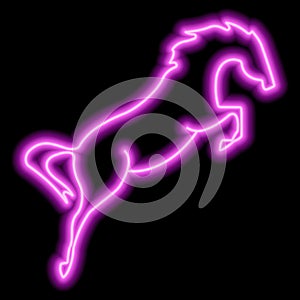 A rearing horse. Simple outline neon vector illustration. Pink silhouette
