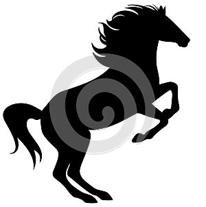 Rearing stallion vector