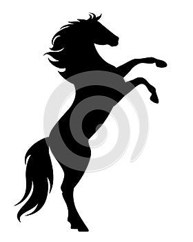 Rearing up black mustang horse vector silhouette photo