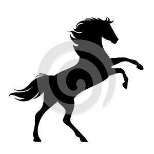 Rearing up horse black vector silhouette