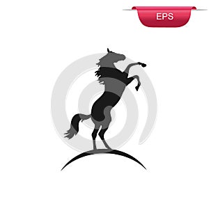 Rearing up horse vector silhouette, vector illustration