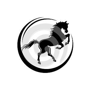Rearing up mustang - standing horse side view black vector silhouette design