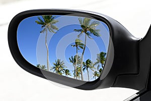 Rearview car driving mirror tropical palm trees