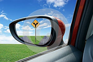 Rearview Mirror