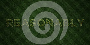 REASONABLY - fresh Grass letters with flowers and dandelions - 3D rendered royalty free stock image photo