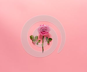 Reassembled rose on pink photo