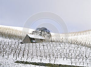 Rebbe landscape Switzerland Aargau Thalheim Parcel