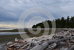 Rebecca Spit beach landscape, Quadra Island BC