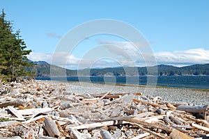 Rebecca Spit Marine Provincial Park