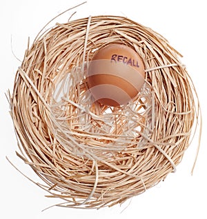 Recall Concept Egg in Nest photo