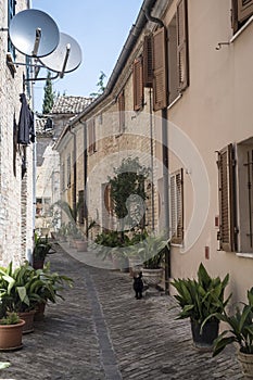 Recanati Macerata, Marches, Italy