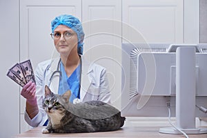 Receiving dollars by a veterinarian in a clinic for the treatment of a cat, money in hands