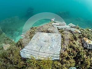 Recently excavated artefacts from the villa protiro. Underwater