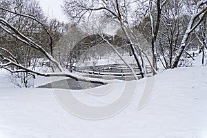 The recently frozen city pond