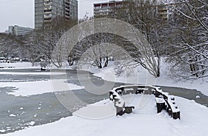 The recently frozen city pond