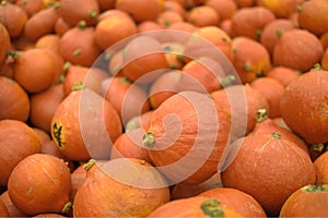 Recently harvested orange pumpkins for sale.