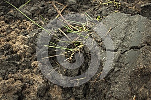 Recently tractor plowed field