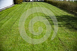 Recently trimmed green lawn near the house. Countryside backyard of the house. Well maintained lawn