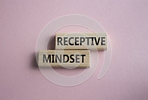 Receptive Mindset symbol. Concept word Receptive Mindset on wooden blocks. Beautiful pink background. Business and Receptive