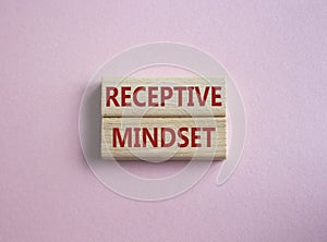 Receptive Mindset symbol. Concept word Receptive Mindset on wooden blocks. Beautiful pink background. Business and Receptive