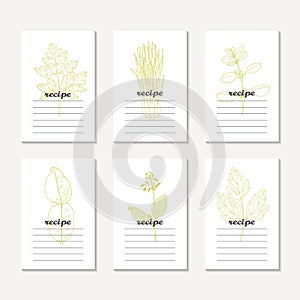 Recipe cards collection with hand drawn spicy herbs. Sketched chervil, lovage, lemongrass, marjoram, kaffir lime, borage