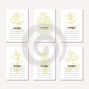 Recipe cards collection with hand drawn spicy herbs. Sketched tarragon, cilantro, parsley, rosemary, oregano, savory