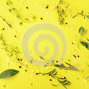 Recipe design template. Various seasoning, herbs and spices, shot from above on a vibrant yellow background, forming a