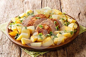 Recipe for Pozharsky chicken cutlets with fried potatoes close-up in a plate. horizontal