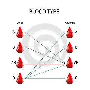 Recipient and Donor. Types of blood