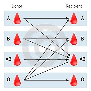 Recipient and Donor. Types of blood photo