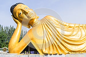 Reclining Buddha gold statue at Phuket, Thailand