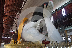 Reclining buddha, seen from behind