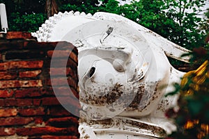 Reclining Buddha Status at Wat Yai Chaimongkol, Ayutthaya,