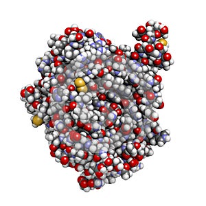 Recombinant DNase I DNA cutting enzyme (dornase alfa)