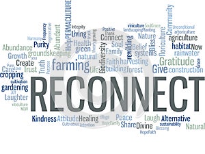 Reconnect word cloud concept